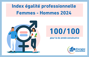 index égalité HF 100/100