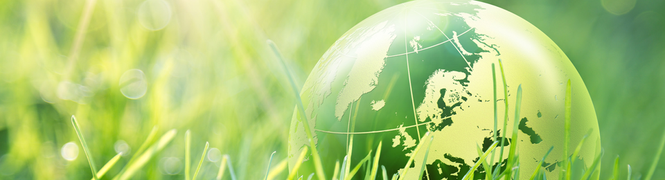 Enjeux et prospective