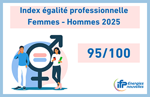 index égalité HF 95/100 
