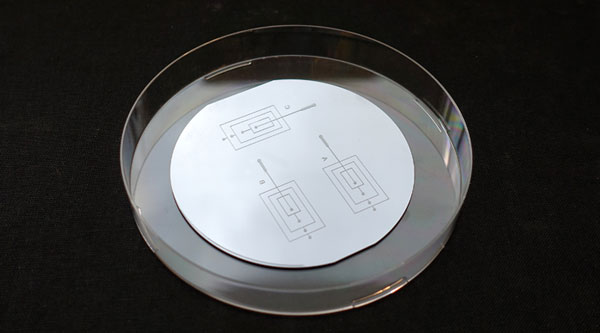 Microfabrication de puces
