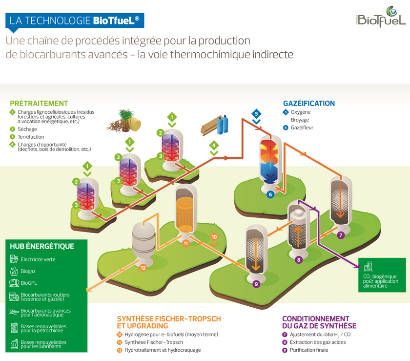 BioTfueL - infographie