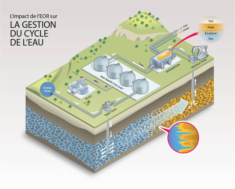 infographie EOR