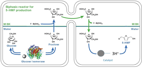 Catalyse hybride