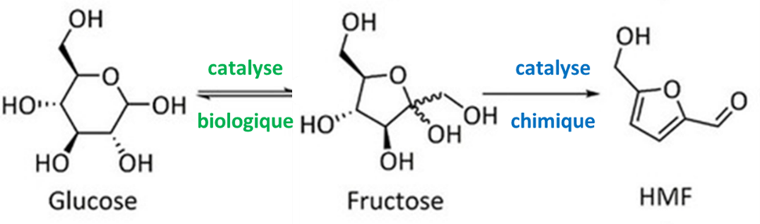 Transformation du glucose en HMF