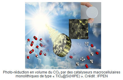 Image-Catalyseurs-macrocellulaires-c-IFPEN