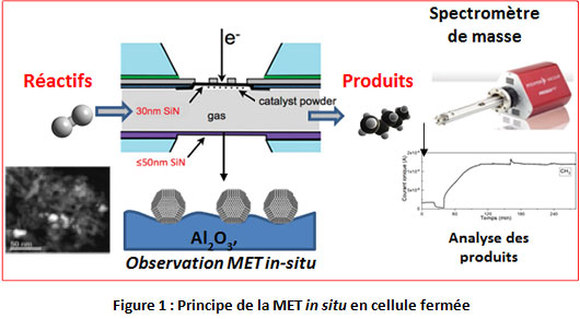 Figure-1-Fil-actu-science-these-Kassioge-Dembele