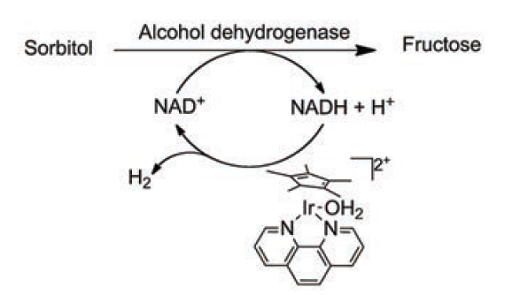 Catalyse hybride appliquée à la transformation enzymatique du sorbitol en fructose avec la régénération du cofacteur nicotinamide.