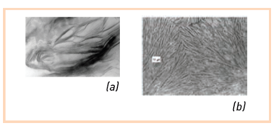 Microstructure d’une argile (a) et d’un polymère semi-cristallin (b)