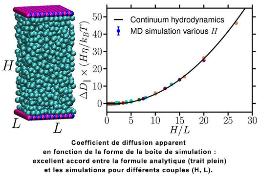 Coefficient de diffusion apparent en fonction de la forme de la boîte de simulation : excellent accord entre la formule analytique (trait plein) et les simulations pour différents couples (H, L).