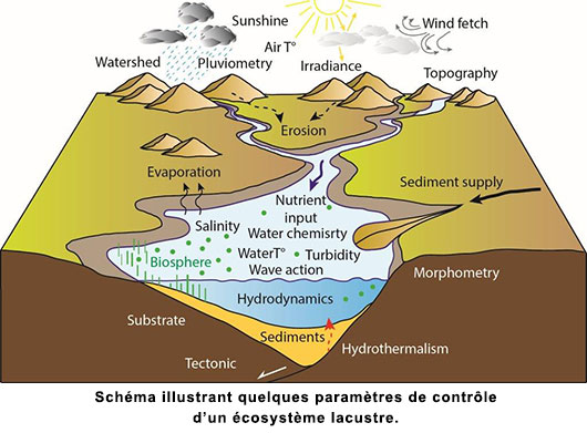 Schéma illustrant quelques paramètres de contrôle d’un écosystème lacustre.