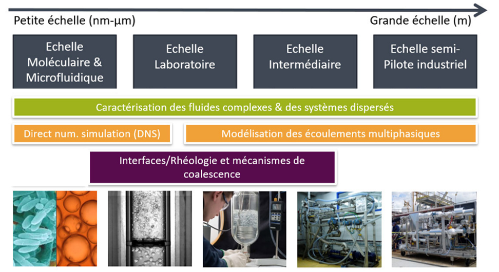 Schéma explicatif : Coalescence et propriété interfaciale 