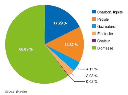 Fig. 5 – Mix énergétique primaire en ASS en 2016