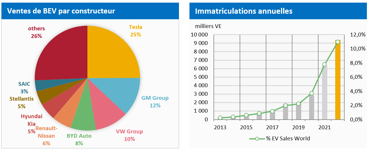 Ventes de BEV par constructeurs et Immatriculations annuelles