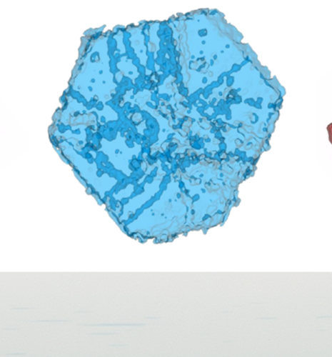 Un regard neuf sur les zéolithes faujasites Y 