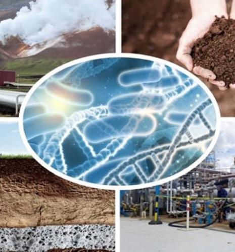 Mieux comprendre la réactivité biogéochimique du sous-sol
