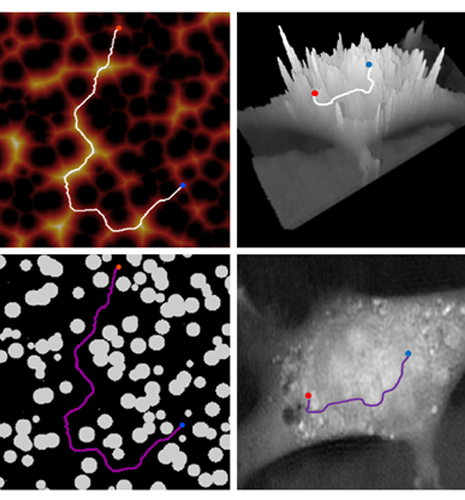 Nouveaux descripteurs de microstructures poreuses par tortuosité et accessibilité