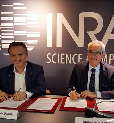 Bioéconomie, biotechnologies, sols : trois priorités au cœur de la collaboration entre l’Inra et IFPEN