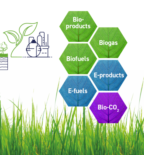 Valorisation de la biomasse : IFPEN au rendez-vous des plus grands spécialistes à l’EUBCE