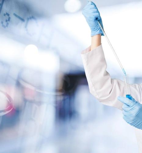 Caractérisation d’une sous-famille d’enzymes de LPMO aux propriétés atypiques