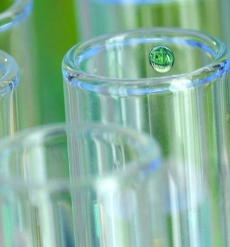 Produits biosourcés et carburants durables : comment IFPEN répond-il aux enjeux de la bioéconomie ?