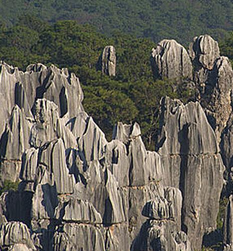 Projet de recherche KARST : IFPEN lauréat d'une bourse ERC Synergy Grant