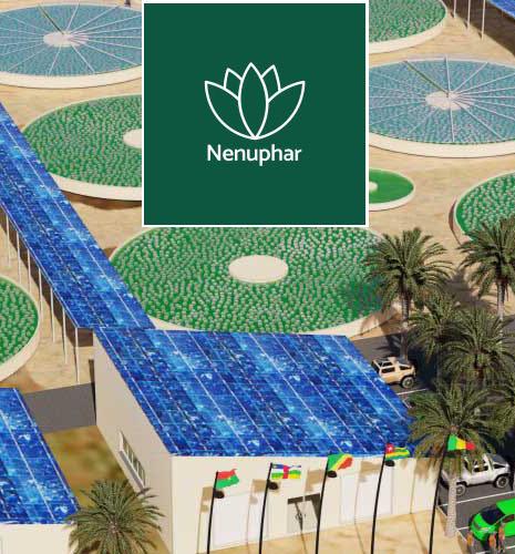 Culture des micro-algues : IFPEN partenaire de la start-up Nenuphar 