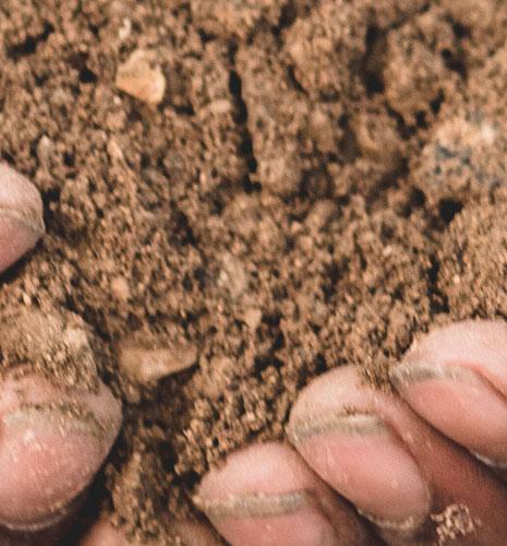 IFPEN et Valorhiz s’associent pour étudier le potentiel d’utilisation des sols à faible teneur en carbone comme puits de carbone