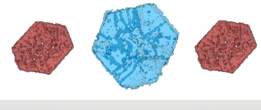Un regard neuf sur les zéolithes faujasites Y 