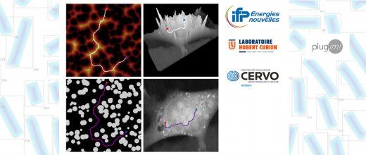 Nouveaux descripteurs de microstructures poreuses par tortuosité et accessibilité