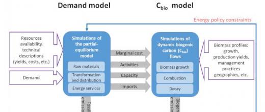 Des modélisations dynamiques pour aider à (vraiment) atteindre la neutralité carbone