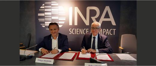 Bioéconomie, biotechnologies, sols : trois priorités au cœur de la collaboration entre l’Inra et IFPEN