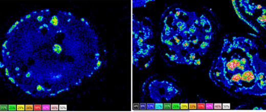 Captage du CO2 : mieux comprendre le Chemical Looping Combustion (CLC)