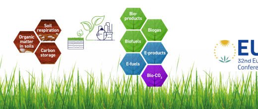 Valorisation de la biomasse : IFPEN au rendez-vous des plus grands spécialistes à l’EUBCE