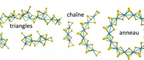 Un an d’existence pour la chaire ROAD4CAT