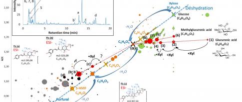 Multiplier les dimensions analytiques pour identifier les molécules biosourcées