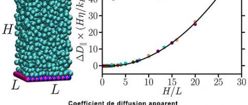 Mieux simuler les processus de transport dans des nanopores grâce à la dynamique moléculaire