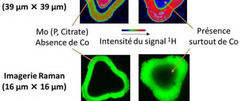 Imageries RMN et Raman : l’imprégnation des catalyseurs comme si vous y étiez