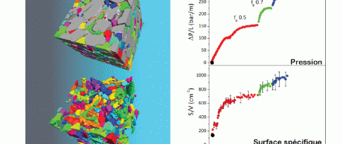 Étude in situ de la structure fine d’une mousse en écoulement dans un milieu poreux réel