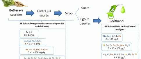 Analyse des contaminants inorganiques dans le bioéthanol, de la source au produit final