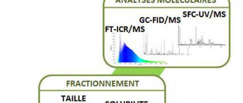 Descripteurs de matrices oxygénées pour la transformation de biomasses lignocellulosiques (HDR 2017)