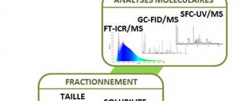 Descripteurs de matrices oxygénées pour la transformation de biomasses lignocellulosiques (HDR 2017)