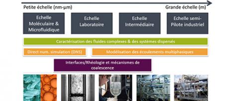 Coalescence et propriété interfaciale : du microscopique au macroscopique