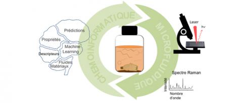 Microfluidique et Chémoinformatique : une forte complémentarité pour étudier la compatibilité matériaux/fluides