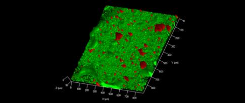 Développement en biofilm d’une bactérie pour la production d’alcools biosourcés en C3/C4