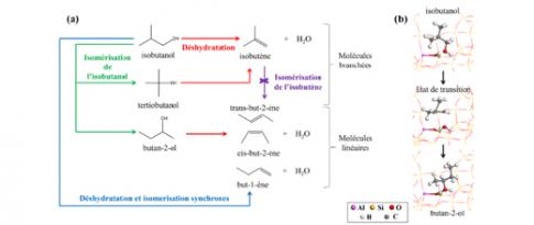 VS2 - Le calcul quantique révèle des mécanismes-clés pour la chimie biosourcée