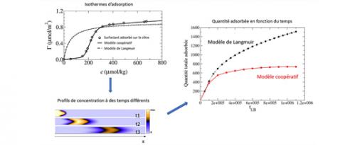 VS3 - Simulation du couplage adsorption/transport via une approche Lattice-Boltzmann généralisée