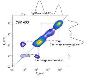 Probing diffusional exchange in mesoporous zeolite by NMR diffusion and relaxation methods